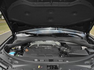 2017L t(bio) 2.0T ԄӺA 