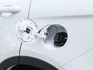 2017t(bio) 2.0T pxσ(q) w