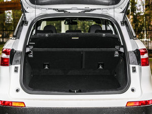 2017t(bio) 2.0T pxσ(q)F g