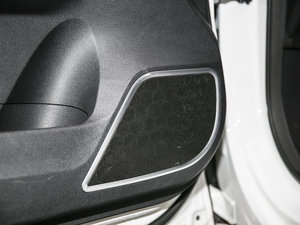 2017t(bio) 2.0T pxσ(q)F g