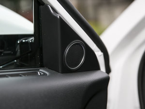 2017t(bio) 2.0T pxσ(q)F g