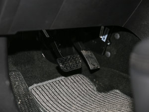 2017t(bio) 2.0T pxσ(q)F g