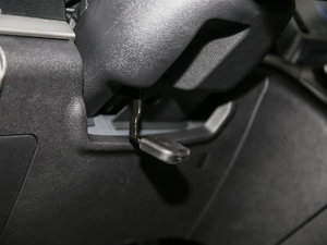 2017t(bio) 2.0T pxσ(q)F g