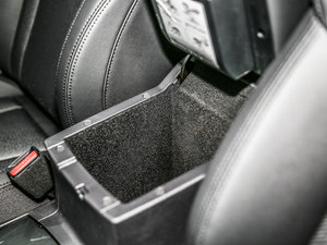 2017t(bio) 2.0T pxσ(q)F g