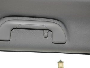 2017t(bio) 2.0T pxσ(q)Ӣ g