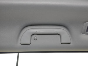 2017t(bio) 2.0T pxσ(q)Ӣ g