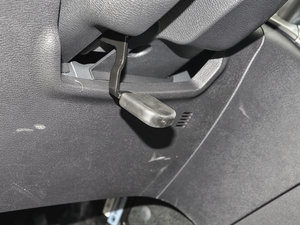 2017t(bio) 2.0T pxσ(q)Ӣ g