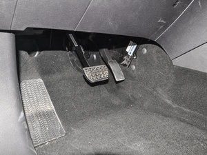 2017t(bio) 2.0T pxσ(q)Ӣ g