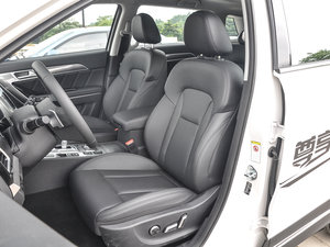 2017t(bio) 2.0T pxσ(q)Ӣ {