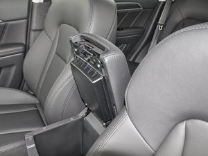 2017t(bio) 2.0T pxσ(q)Ӣ g