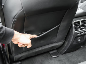 2017t(bio) 2.0T pxσ(q)F g