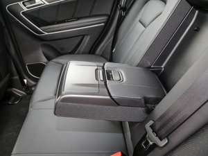 2017t(bio) 2.0T pxσ(q)F g