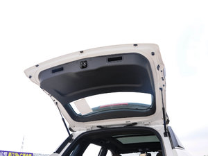 2017{(ln)(bio) 2.0T pxσ(q)Ӣ g