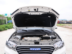 2017{(ln)(bio) 2.0T pxσ(q)Ӣ 