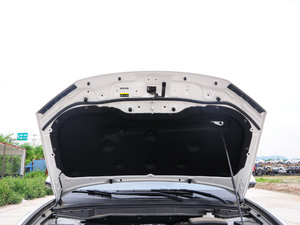 2017{(ln)(bio) 2.0T pxσ(q)Ӣ 