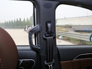 2017{(ln)(bio) 2.0T pxσ(q) g