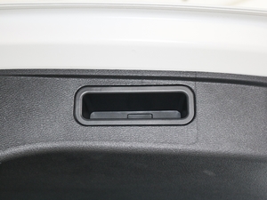 2017t 2.0T քӃ򌾫Ӣ g