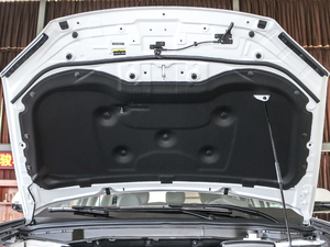 2017t 2.0T քӃ򌾫Ӣ 