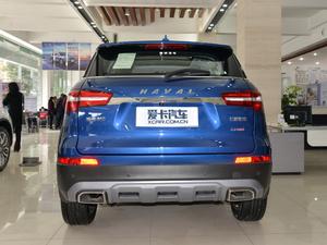 2017款红标 2.0T 手动两驱精英型 正后	