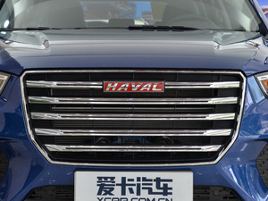 2017款红标 2.0T 手动两驱精英型 中网