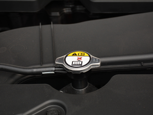 2018t(bio) 1.5T DCTL(fng) 