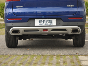 2018t(bio) 1.5T DCTL(fng) (x)(ji)^