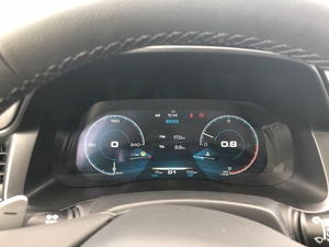 2018t(bio) 1.5T DCTL(fng) x