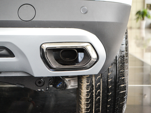 2018t(bio) 1.3T DCTr(sh) (x)(ji)^(gun)