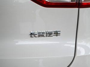 2018t(bio) 1.3T DCTr(sh) (x)(ji)^(gun)