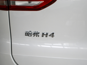 2018t(bio) 1.3T DCTr(sh) (x)(ji)^(gun)