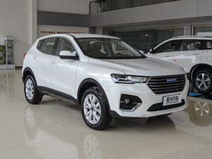2018款蓝标 1.3T DCT时尚型 整体外观