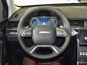 2018款蓝标 1.5T DCT风尚型 方向盘