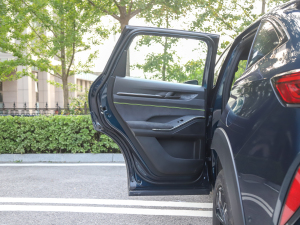 2021款2.0T 四驱潮跑版 左后车门