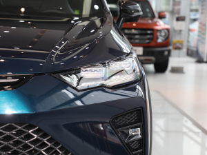 20212.0T (q)ܰ (x)(ji)^