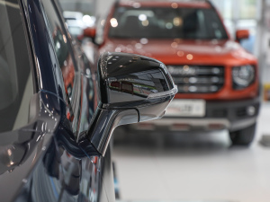 20212.0T (q)ܰ (x)(ji)^