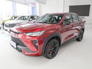 2021款1.5T 智跑版DHT 整体外观