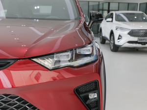 20211.5T ܰDHT (x)(ji)^