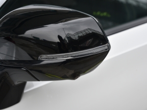 20212.0T (q)ܰ (x)(ji)^