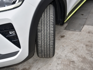 20212.0T (q)ܰ (x)(ji)^