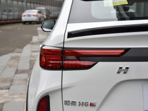 20212.0T (q)ܰ (x)(ji)^