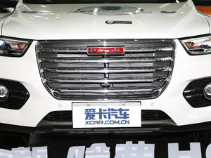 2018款红标 1.5T 自动豪华型 中网