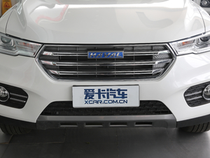 2018款蓝标 1.5T 自动豪华型 中网