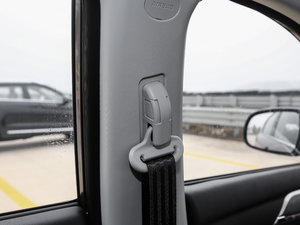 2018{(ln)(bio) 1.5T Ԅ(dng)F g