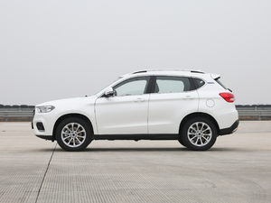 2018款蓝标 1.5T 自动精英型 整体外观