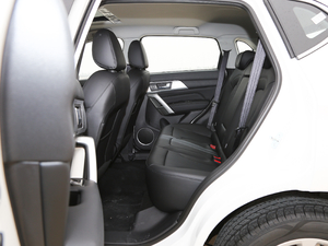 2018{(ln)(bio) 1.5T Ԅ(dng)Ӣ g