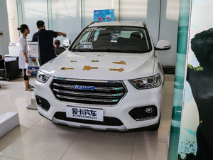 2018款蓝标 1.5T 自动尊贵型 正前