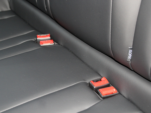 2018t(bio) (chung) 1.5T Ԅ g