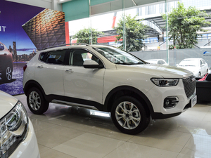 2018t(bio) 1.5T ԄӾӢ w^