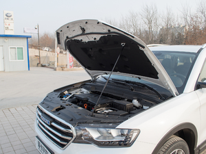 2018{(ln)(bio) 1.5T ԄӃ(q) 