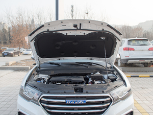 2018{(ln)(bio) 1.5T ԄӃ(q) 